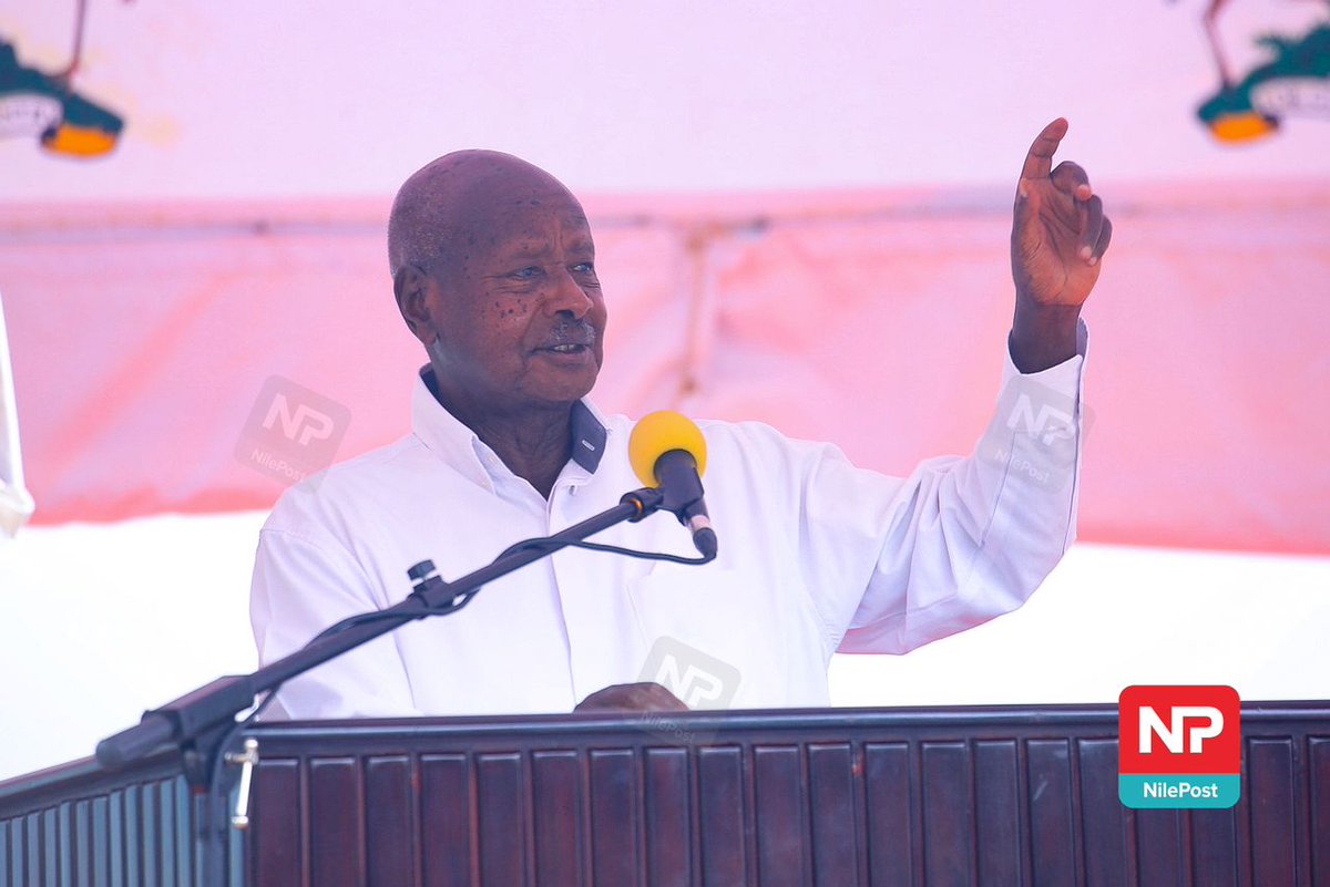 NBS Television tweet media