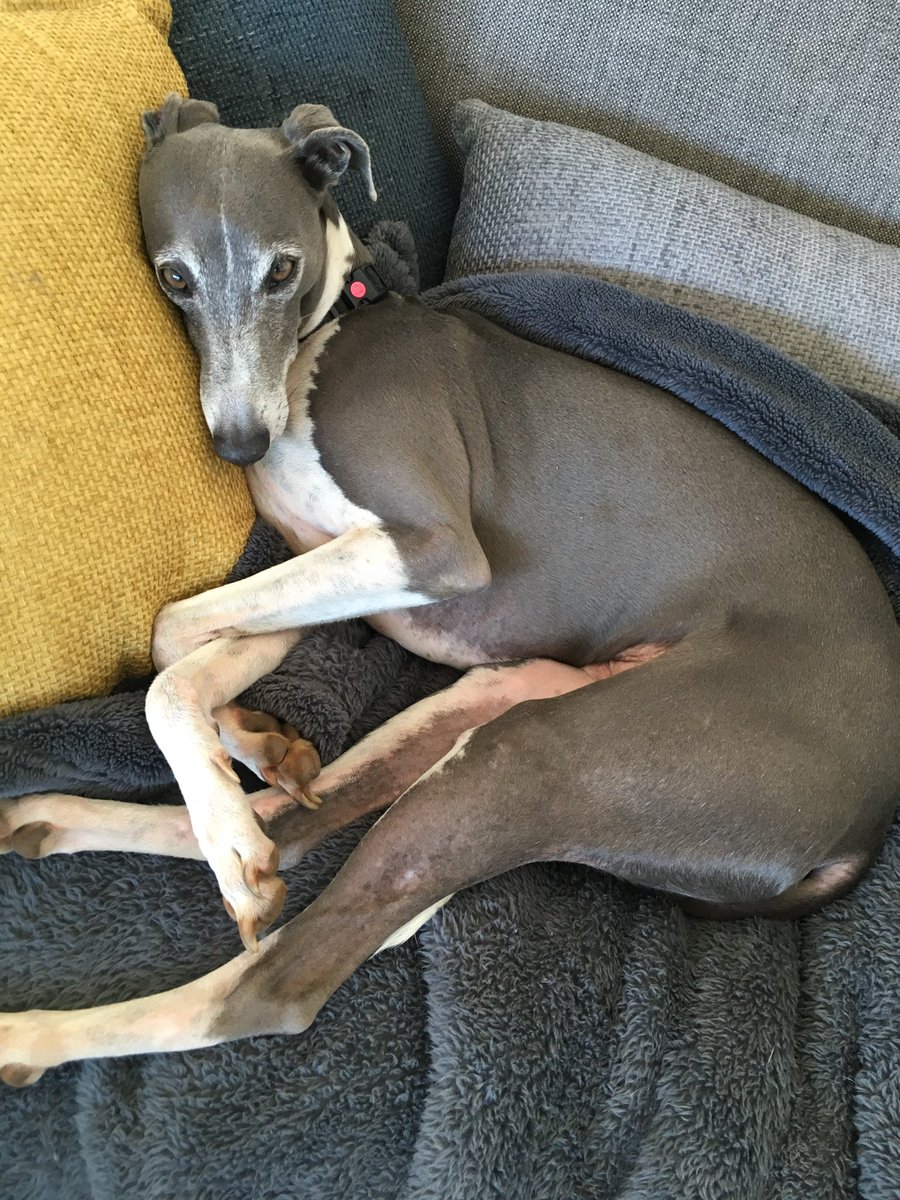 J’s world 🐾🐾🌿 tweet media