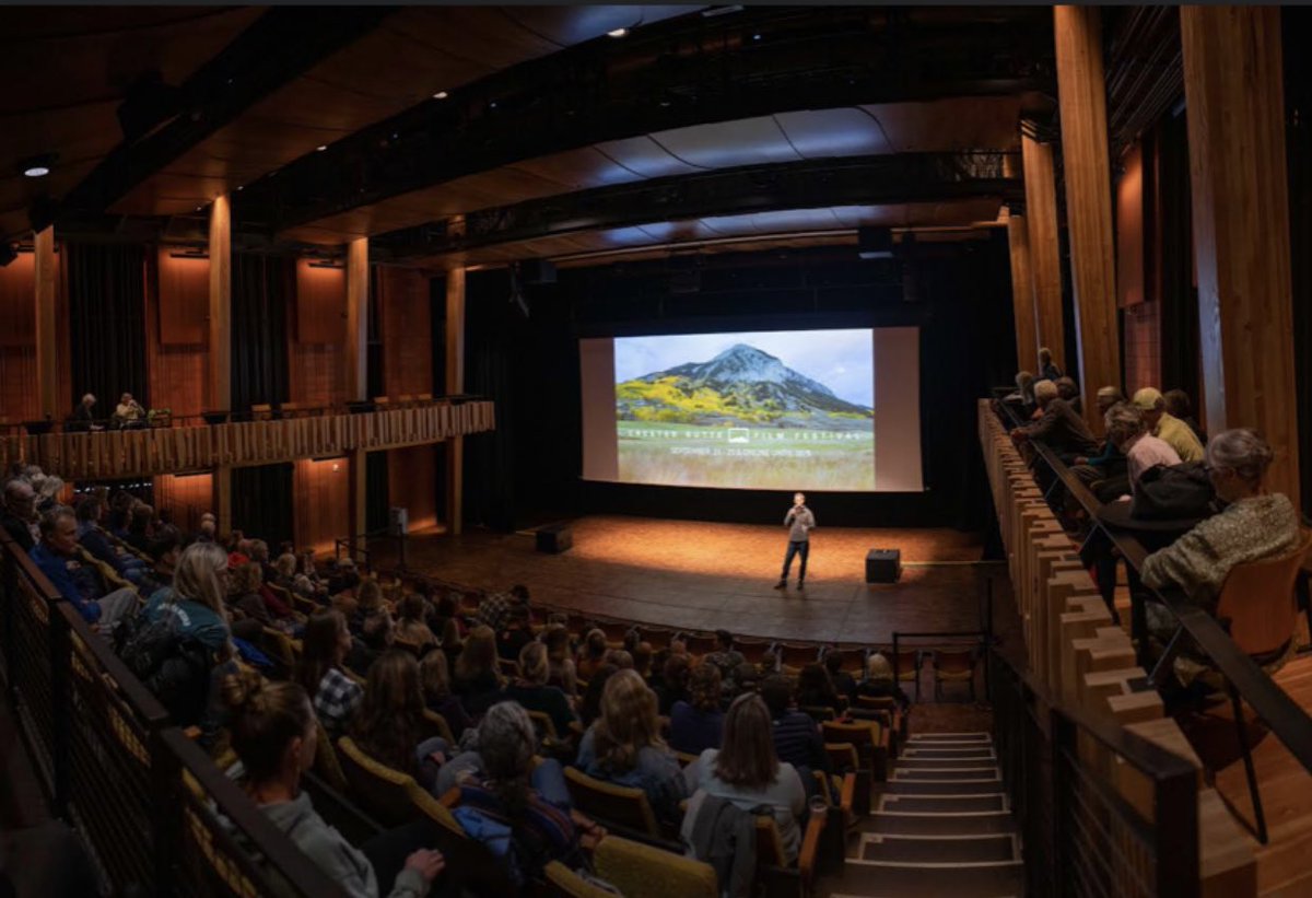 Tal Amiran tweet media