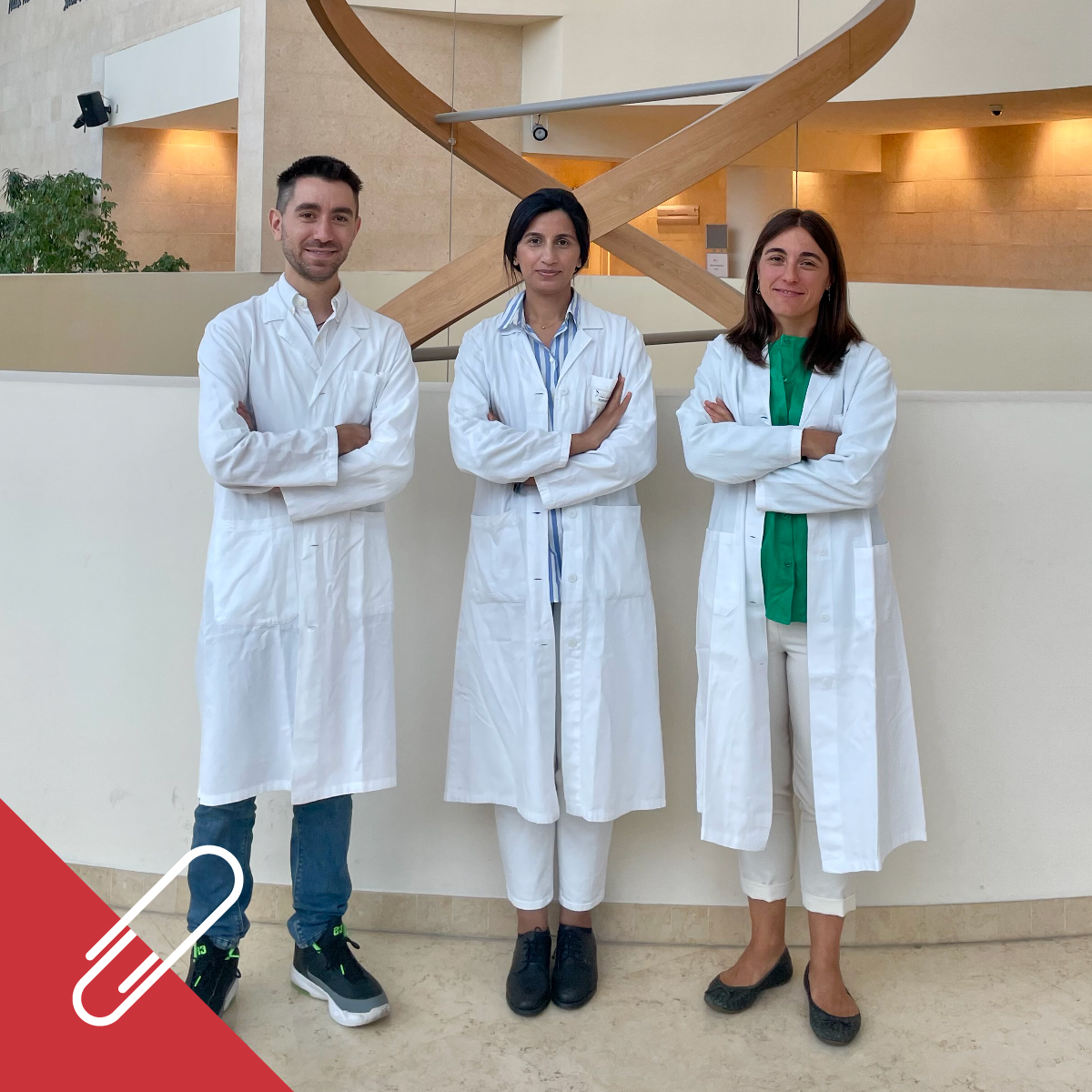 Università Vita-Salute San Raffaele tweet media