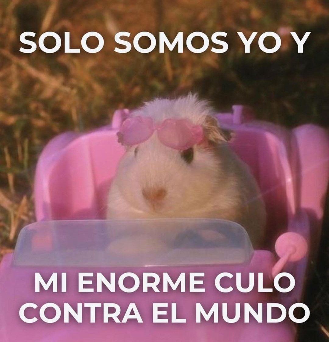 Frases Barbie (@barbie_context) on Twitter photo 
