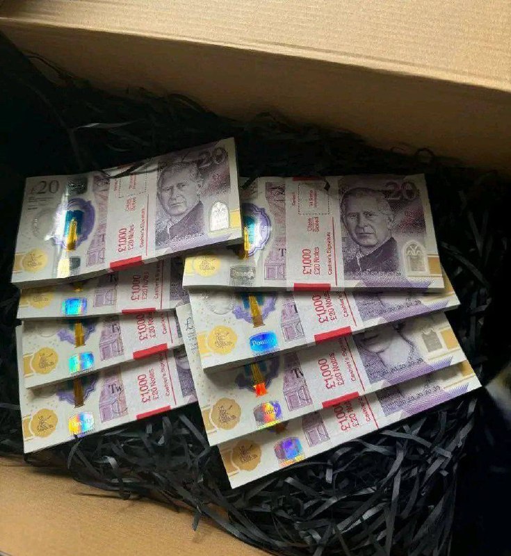 notesdirect1's tweet image. #chesterUK #chesire #unitedkingdom #vacationuk #chesireUK #exploringChesterUK
#lifestyleUK #towerbridgelondon #london
#WindsorCastle #UKBloggers #UKInfluencer #LondonBlogger #TravelUK #LifestyleUK #UKStyle #familytripuk #familyweekend
#fypシ゚viralシ #jersey #PropmoneyUK