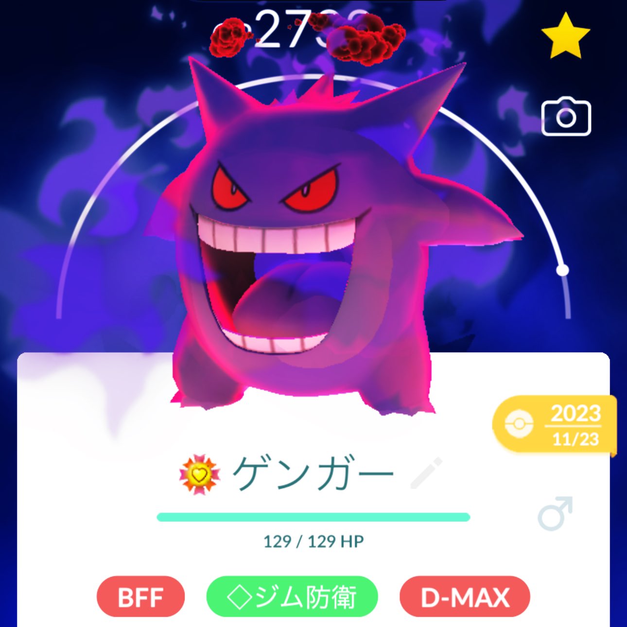 ポケモンセンターオンライン】ムギュっとゲンガー 大きいサイズ