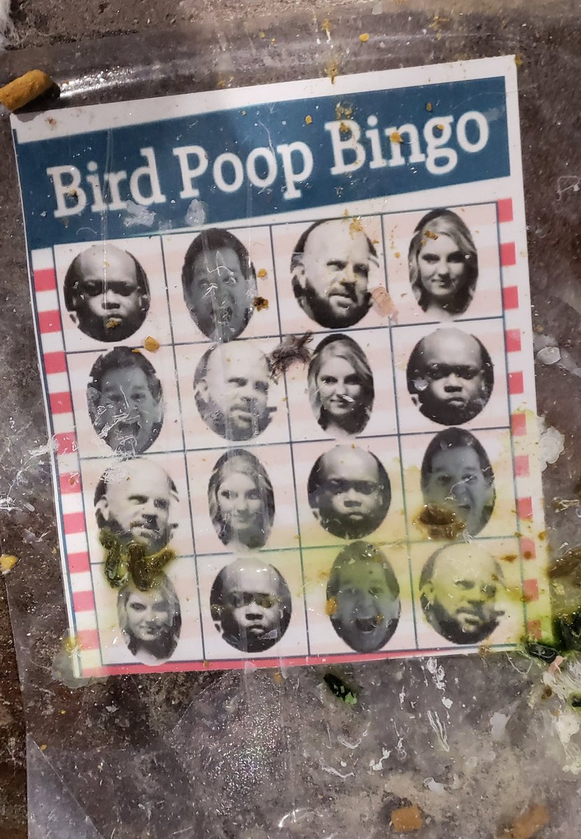 BlueYake's tweet photo. @LexandTerry @TerryJaymes @lexstaley @BVNP @sarahBmorgan Wednesday's bingo winner was Lex! https://t.co/PY6MC7DYPq