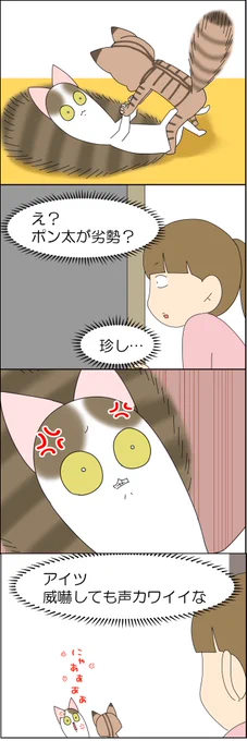 切り替えが早いヌッコ🐱 2/2 
