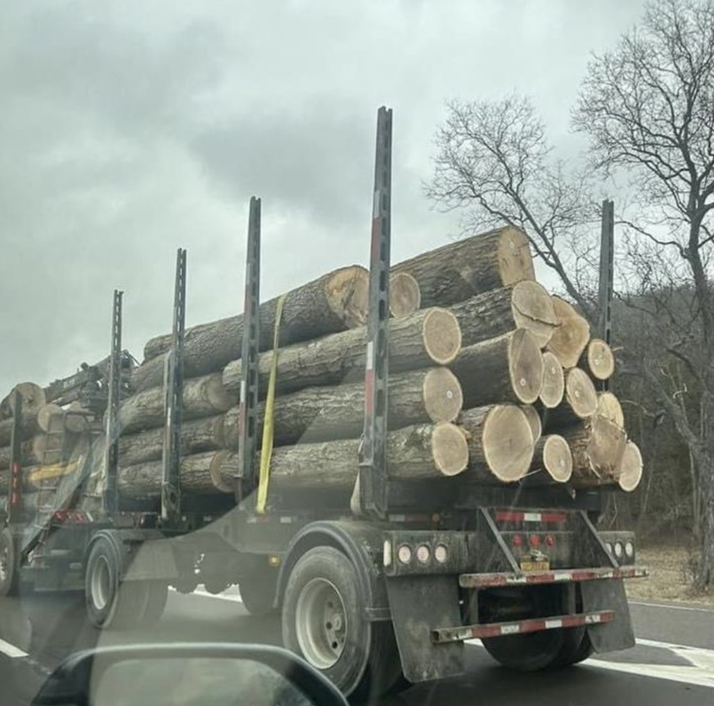 Men's Humor tweet media