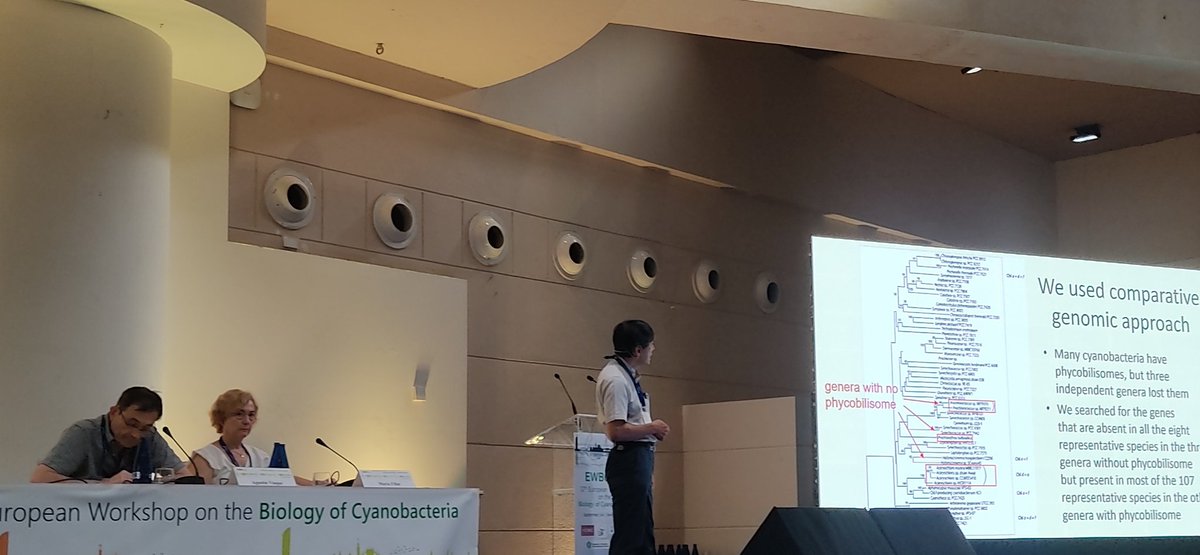 ewbc2024's tweet image. Final talks before lunch and poster session