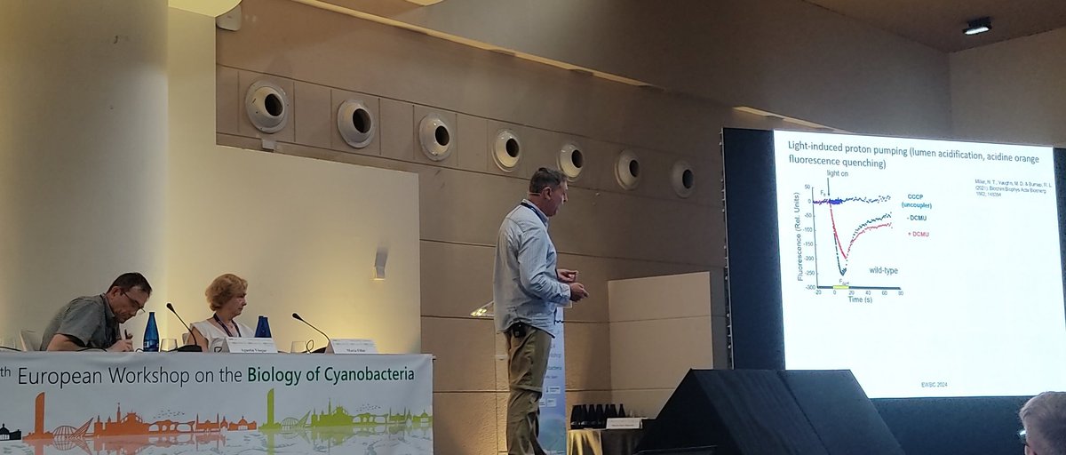 ewbc2024's tweet image. Final talks before lunch and poster session