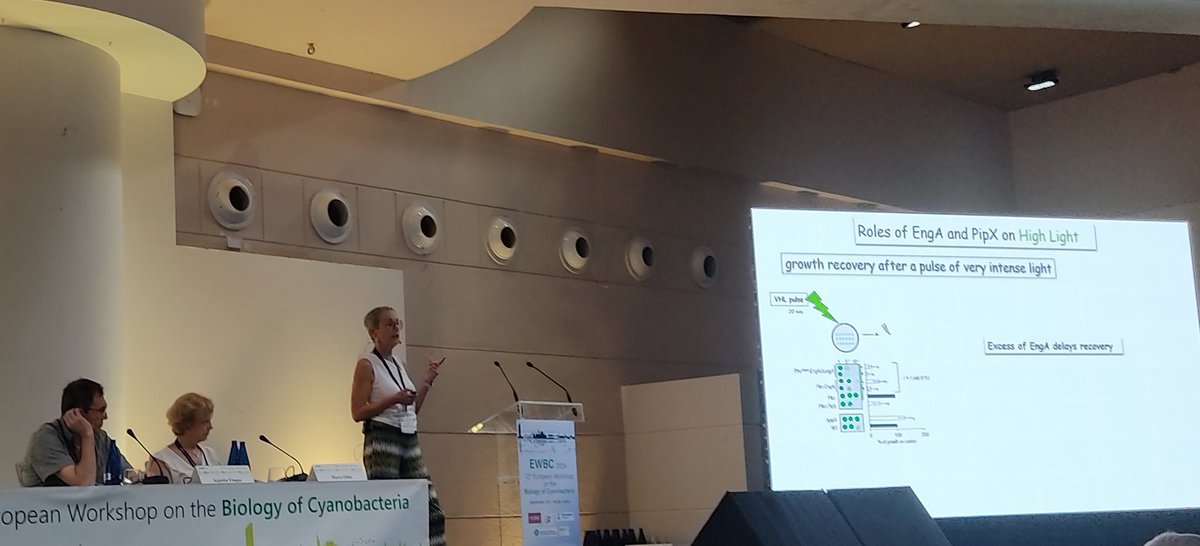 ewbc2024's tweet image. Final talks before lunch and poster session