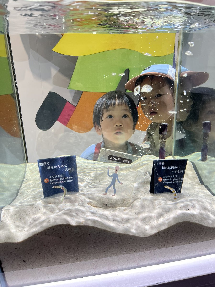 morimo3ALmeta's tweet photo. 反省。や、猛省。
いい事あると直ぐ調子乗るところ、自分ガキすぎる🥳
短気で損気しまくってるわ🥳
猛省猛省、、、 https://t.co/eMuM4dMcn7