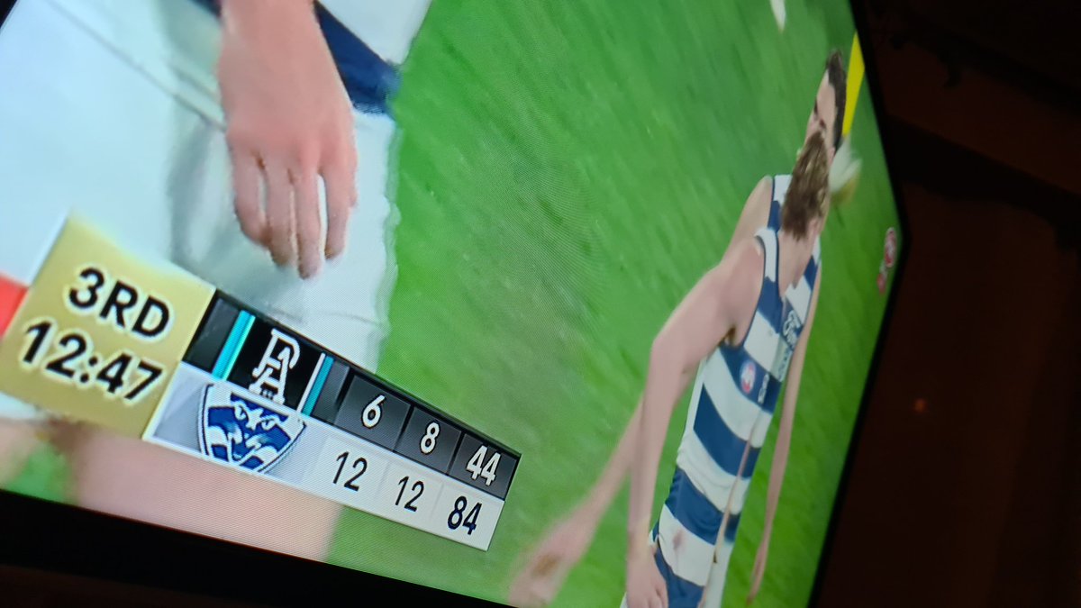 I love when Port are 6.8.44 #iykyk #AFLPowerCats