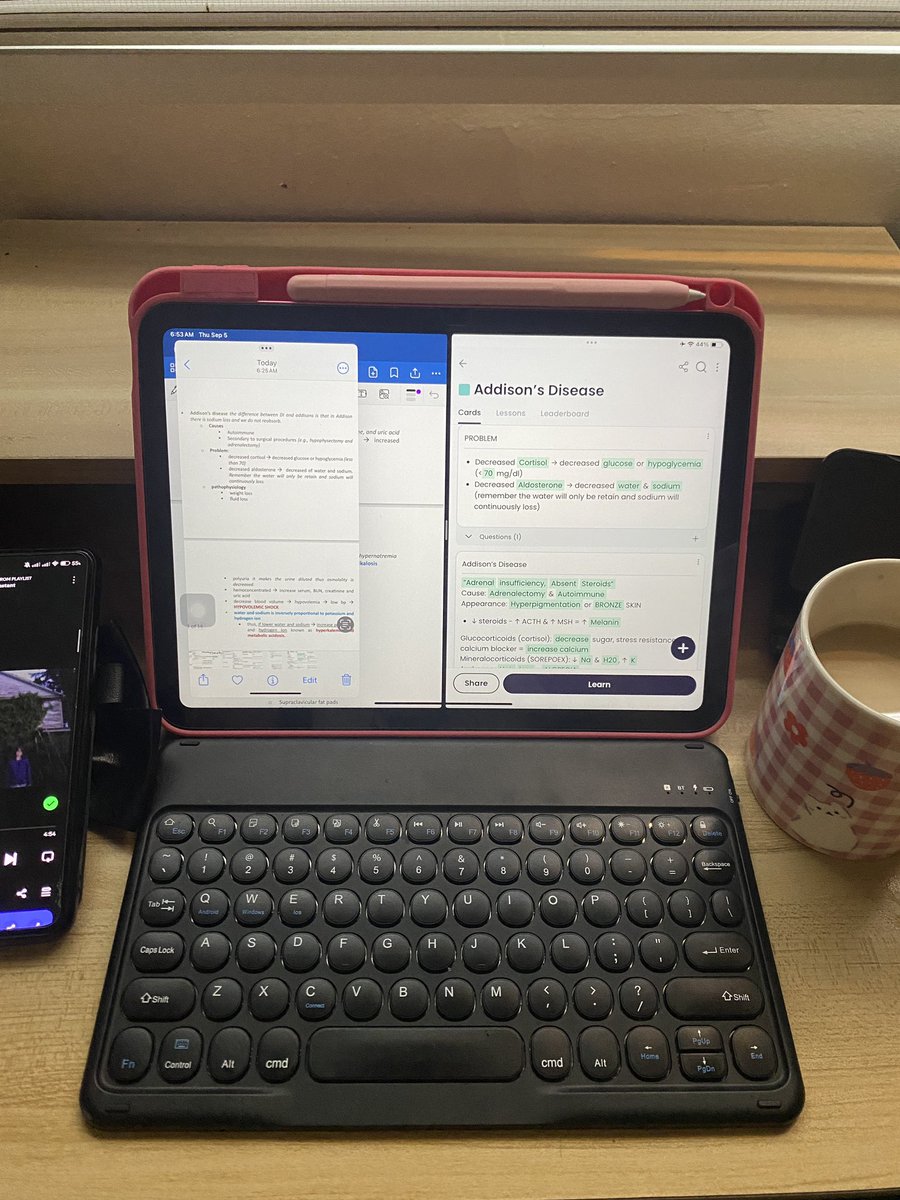 sae | working girlie era tweet media