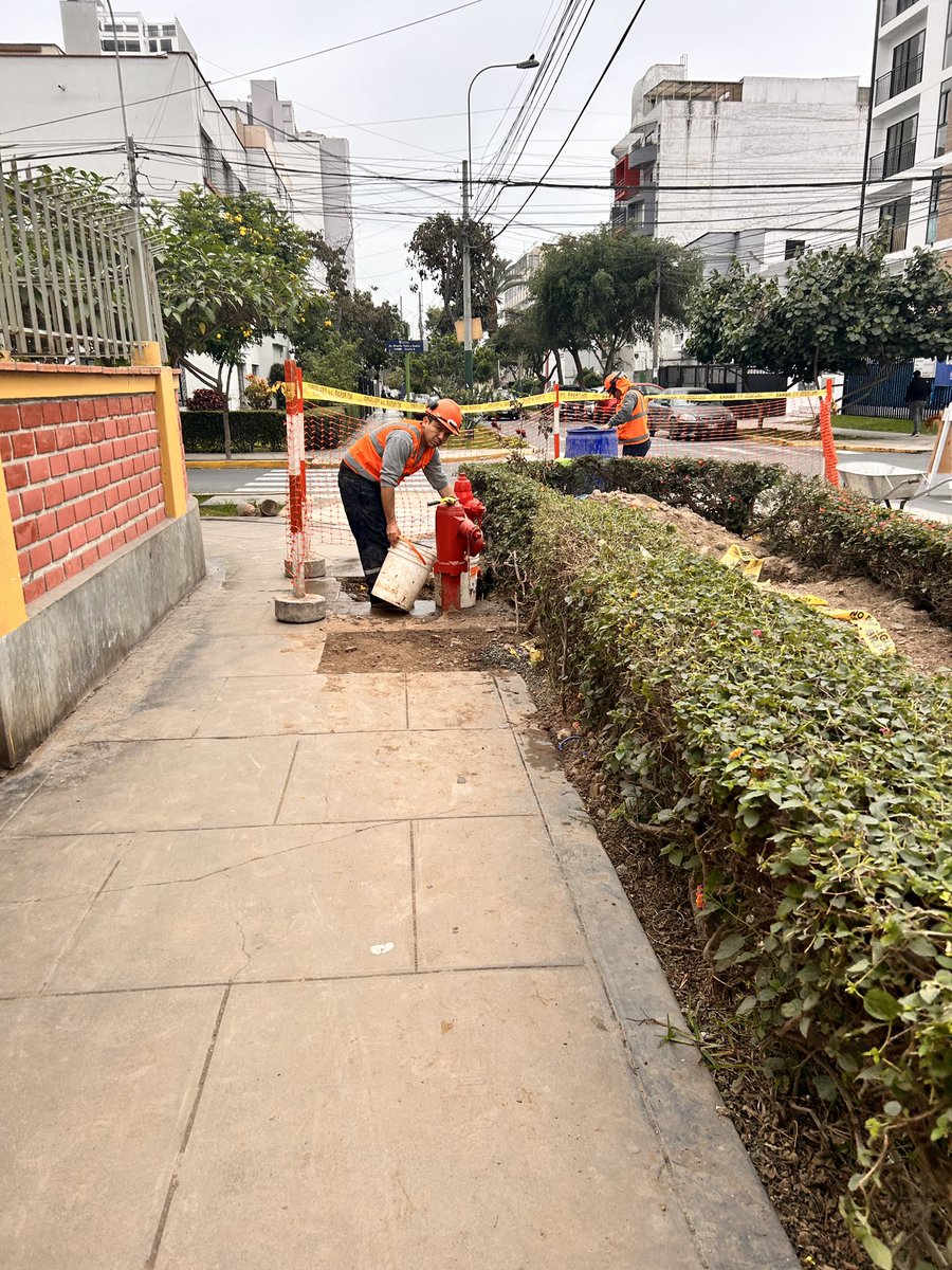 Fabiola Vergara tweet media