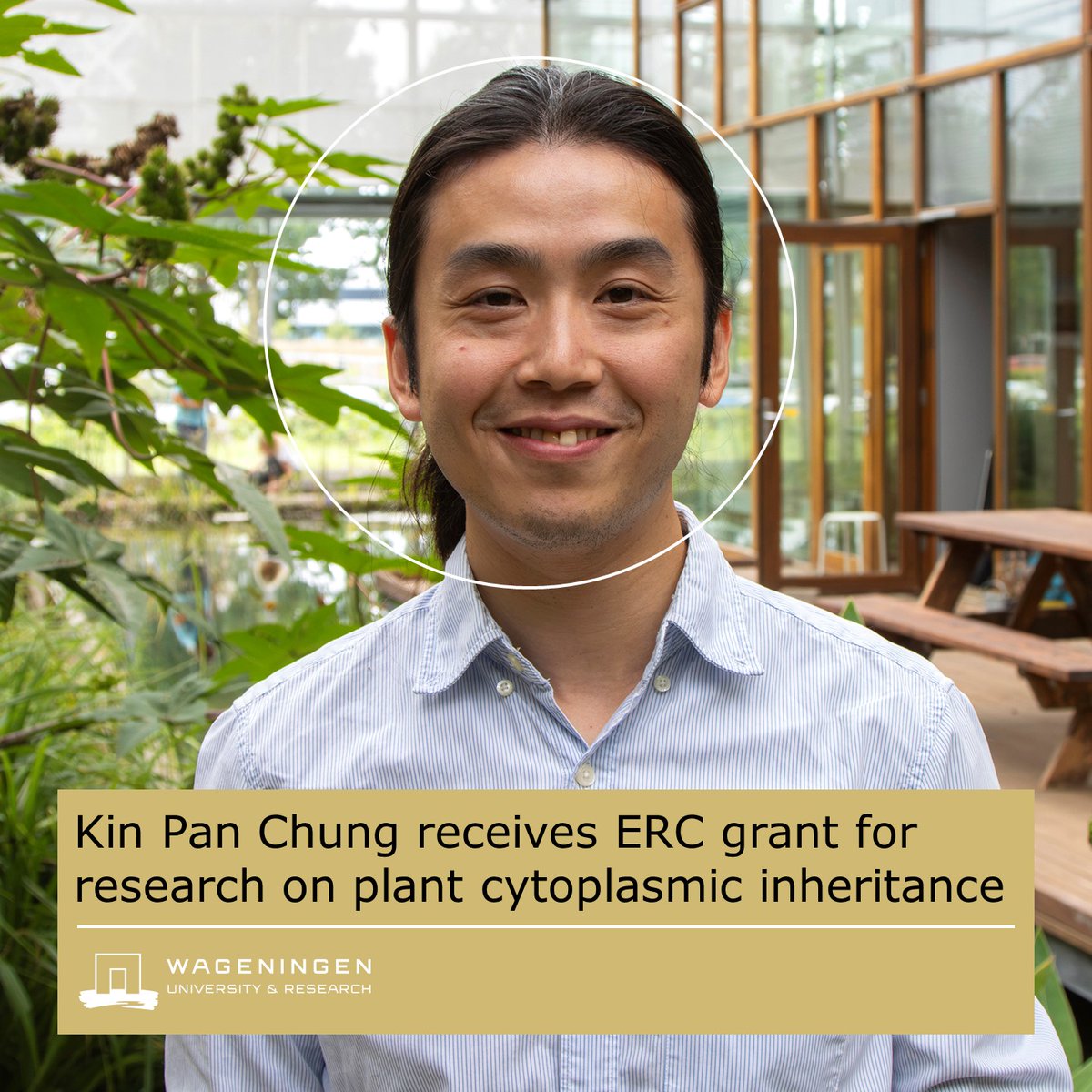 WUR Plant (@wurplant) on Twitter photo 🙌 Congratulations Kin Pan Chung! He has received a <a href="/ERC_Research/">European Research Council (ERC)</a> Starting Grant for his research on the inheritance of cytoplasmic genomes 👏 Read more about his research 👉 wur.nl/en/research-re… 🙌 Congratulations Kin Pan Chung! He has received a <a href="/ERC_Research/">European Research Council (ERC)</a> Starting Grant for his research on the inheritance of cytoplasmic genomes 👏 Read more about his research 👉 wur.nl/en/research-re…