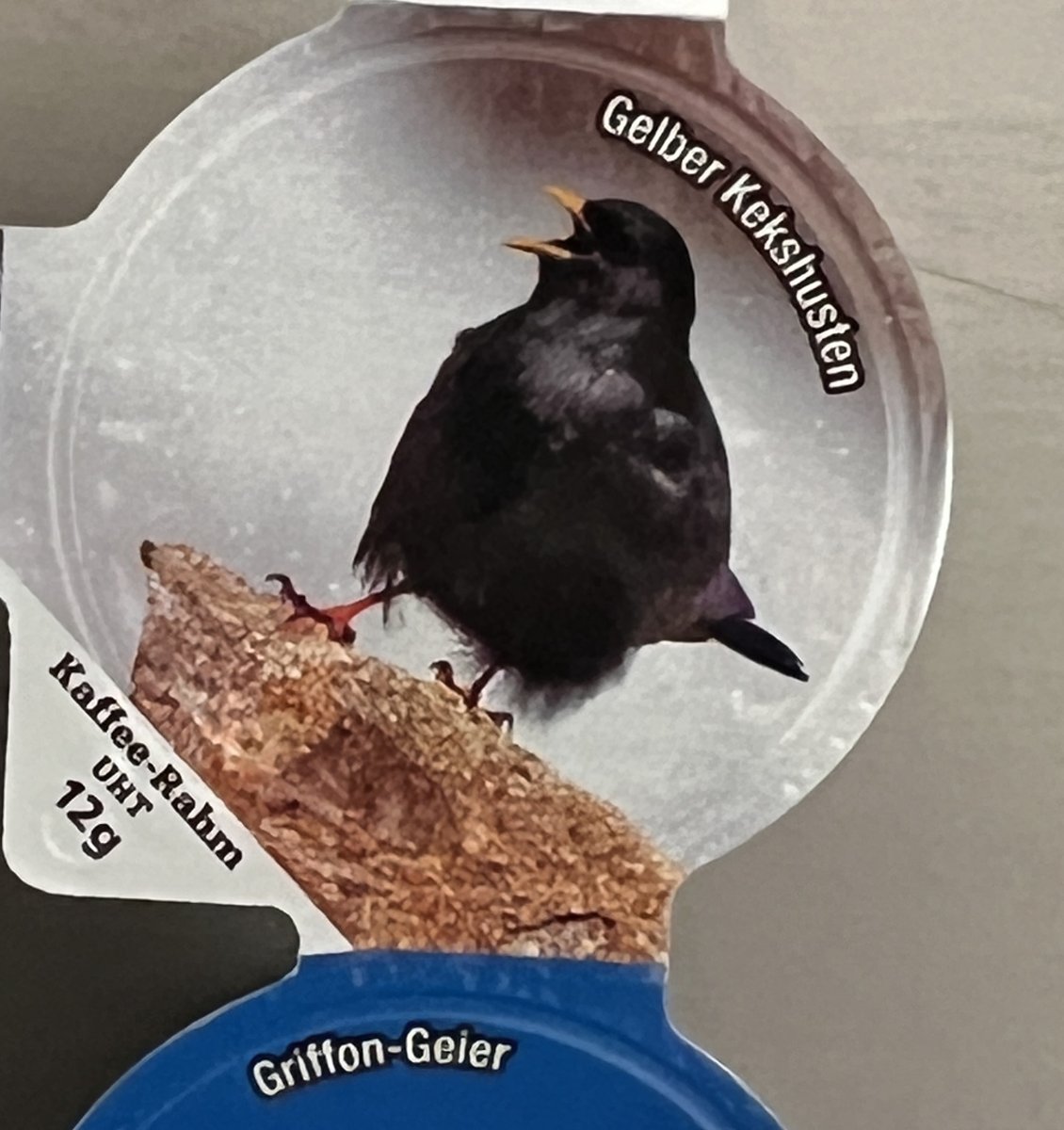 Ist  es nicht sensationell, dass auch in der kleinen Schweiz immer wieder  völlig neue Vogelarten entdeckt werden? Jüngstes Beispiel ist der Gelbe  Kekshusten, der bereits auf einem Kaffeerahmdeckeli verewigt worden ist:
