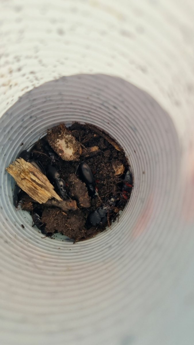 MrCharters tweet media