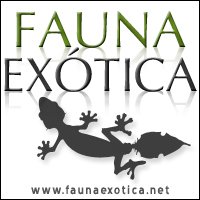 CrowdAnimals's tweet photo. Expoterraria 7 de septiembre, Talavera de la Reina https://t.co/ZeE83irC0u https://t.co/0HPSOaCzf8