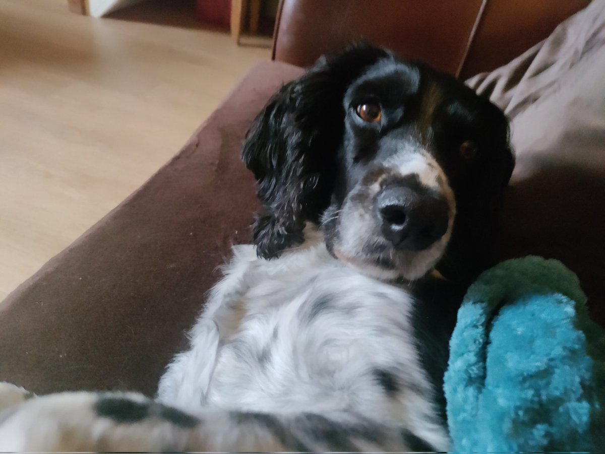 John H. Wood 🇬🇧🏴󠁧󠁢󠁷󠁬󠁳󠁿🇧🇻🇮🇱🇬🇧 tweet media