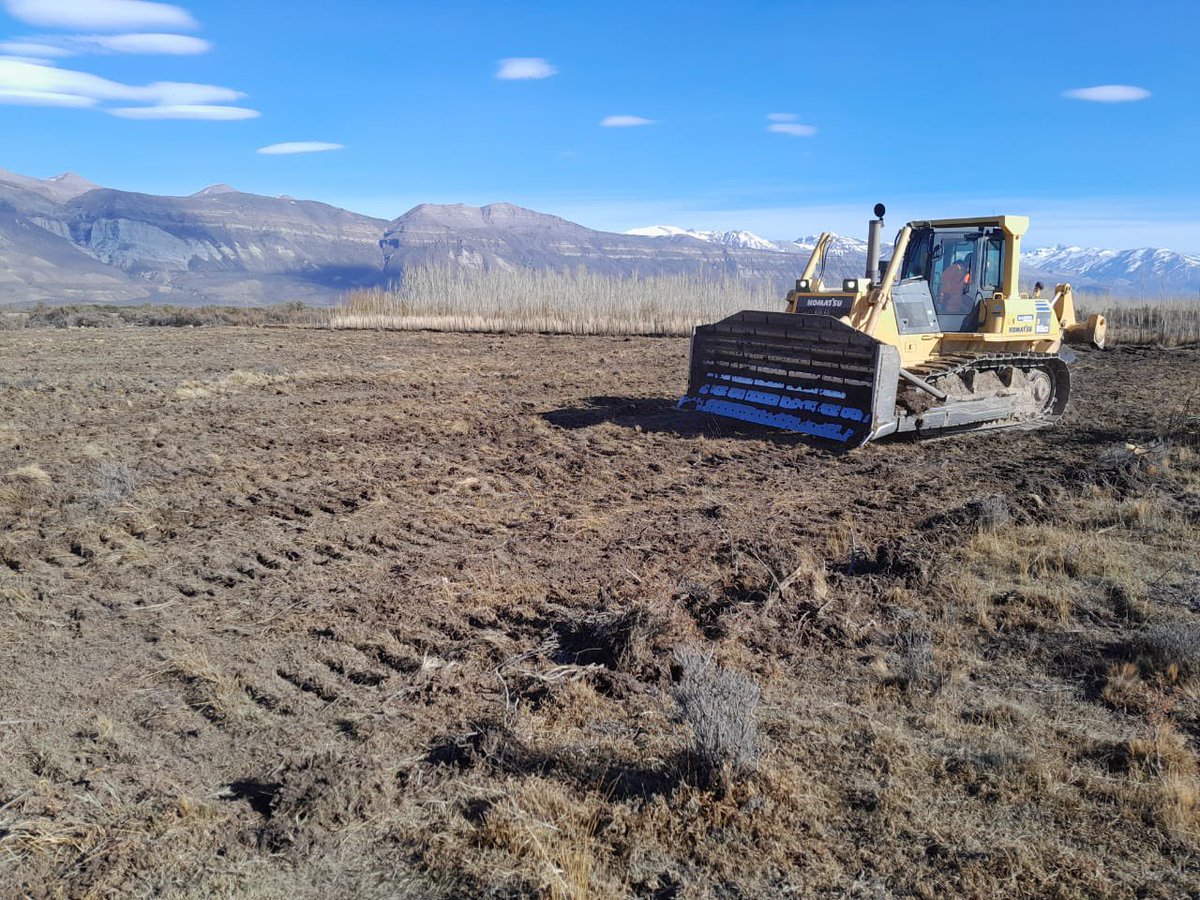 Fepa_Fundacion's tweet photo. Comenzó la preparación del terreno para instalar el primer #viñedo de #SantaCruz en #LagoPosadas . Trabajo conjunto entre #FEPA , el Consejo Agrario Provincial de Santa Cruz y el Gobierno de la Provincia. https://t.co/3iWDZG26v3