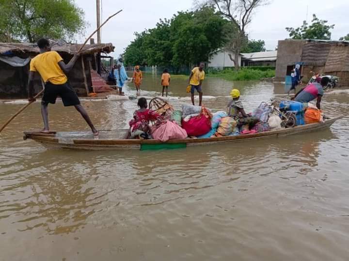 David Wanedam tweet media