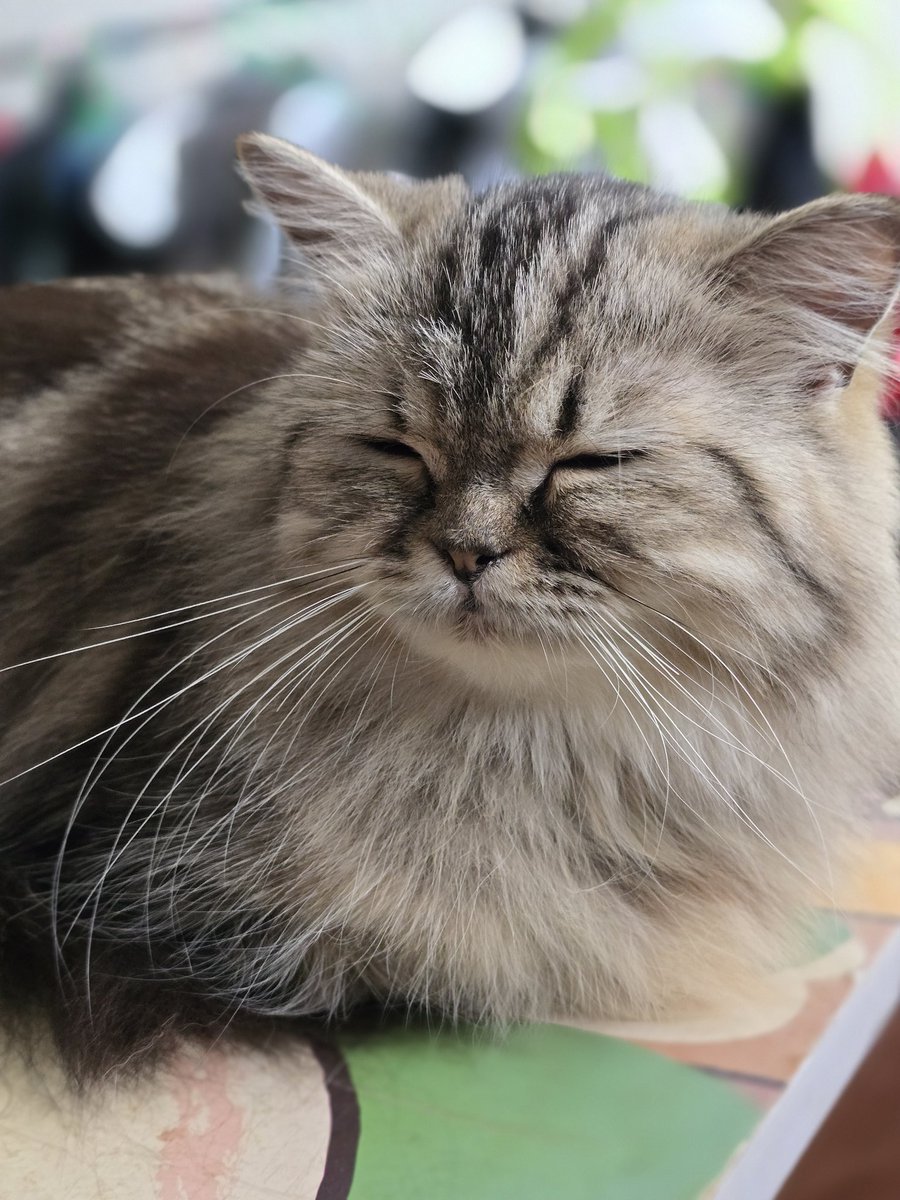 🌈Unicorn🦄 tweet media