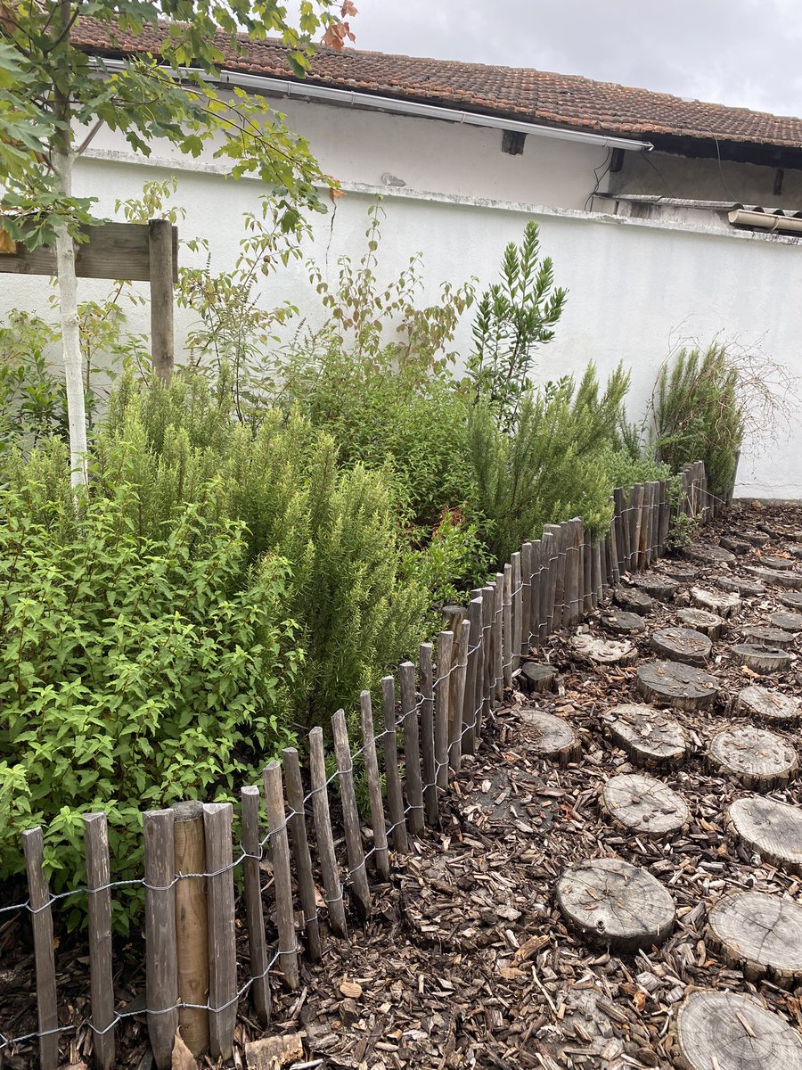 delphine_blls's tweet photo. Visite des nouvelles écoles qui integrent la circonscription HG5 ... l'école élémentaire Musset bénéficie d'une cour oasis propice à une nouvelle appropriation des espaces #Toulouse #couroasis #Hg5 https://t.co/mv7WMUMm6w