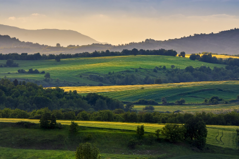 BÖLW zum EU-Agrardialog: „Der Öko-Landbau hat eine Vorbildfunktion“: Der Bund für Ökologische Landwirtschaft (BÖLW) begrüßt die heute in Brüssel vorgestellten Ergebnisse des strategischen Dialogs zur Zukunft der Landwirtschaft in der... dlvr.it/TCs0xq