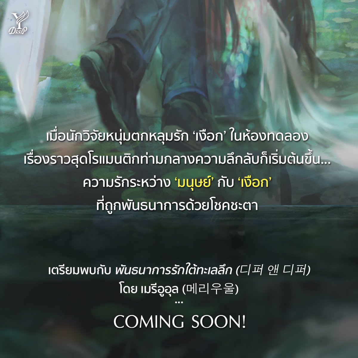 พี่ดีพ tweet media