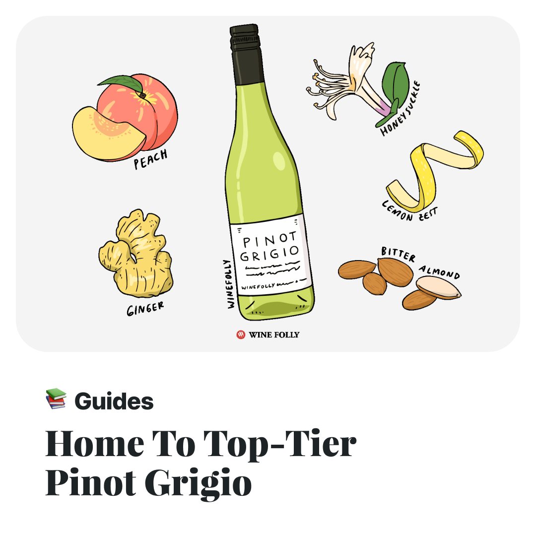 🍷 🇮🇹 Alto Adige is all about fresh, zesty Pinot Grigio with a touch of elegance. This region, high in the Alps, gives us wines that are crisp and vibrant, with just the right hint of citrus and apple. 🎯 Learn more at winefolly.com/deep-dive/alto…

#altoadige #WineLover