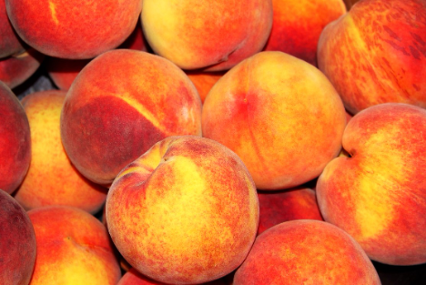 Angepasste Schätzung für Frankreich: Reichlichere Produktion von Pfirsichen erwartet – 4 % mehr als im Vorjahr: Der französische Dienst für Landwirtschaftsstatistik (Agreste) korrigierte seine Ernteschätzung in der August-Prognose leicht nach unten, aber… dlvr.it/TCs0x8