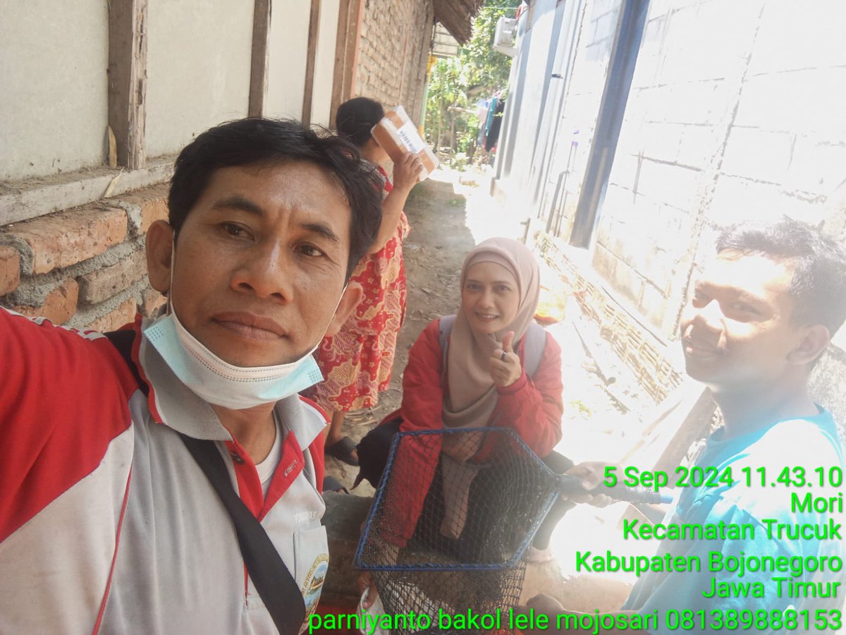 bett_alqi's tweet photo. Kamis (5/9), Baiti, Luhkan Bojonegoro, melaporkan #panen Lele di Sdr. Aang (Ds. Mori), teknologi sederhana, sebanyak 43 kg, kolam terpal luas 8 m², size 8 - 12 ek/kg, harga Rp. 19.000/kg
#GiatLuhkanSatminkalBWI
#Bnegoro 
@pusluhkp
@bppsdm_bp3bwi https://t.co/1yjZziEeBT