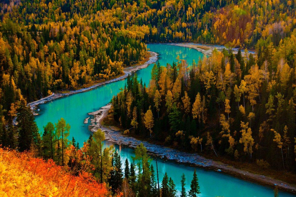 AmzChina's tweet image. #Kanas in Xinjiang will be breathtakingly beautiful! Kanas, covering over 10,000 square kilometers, is known as the "Garden of the Immortals" and has been named China's most beautiful #autumnscenery. The majestic snow mountains and soaring eagles inspire longing in the heart.