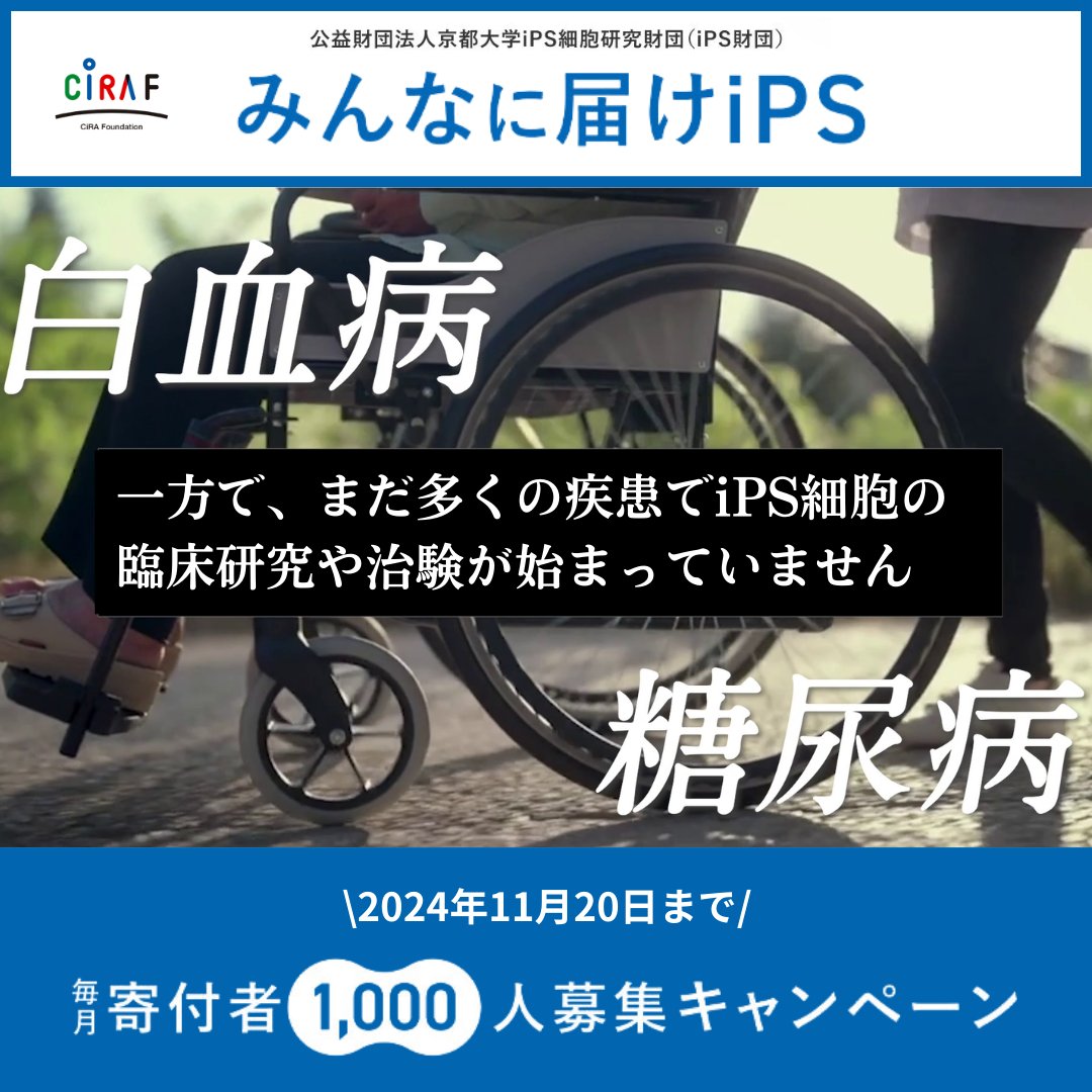 CiRA_F_J's tweet photo. 目標1,000人！毎月寄付型クラウドファンディング「みんなに届けiPS」実施中
〜日本発のiPS細胞技術により、患者さんを笑顔にしたい〜
iPS財団職員一同の強い思いです。