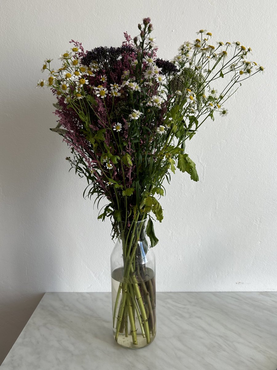 holyGRI's tweet image. угадал!