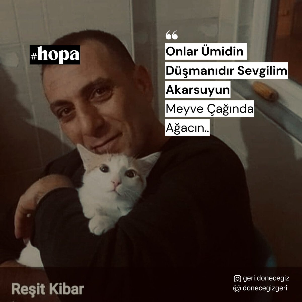Reşit Kibar yaşadığı toprakları, ağacını koruduğu için kurşunlanarak öldürüldü.

#reşitkibar #hopa #artvin