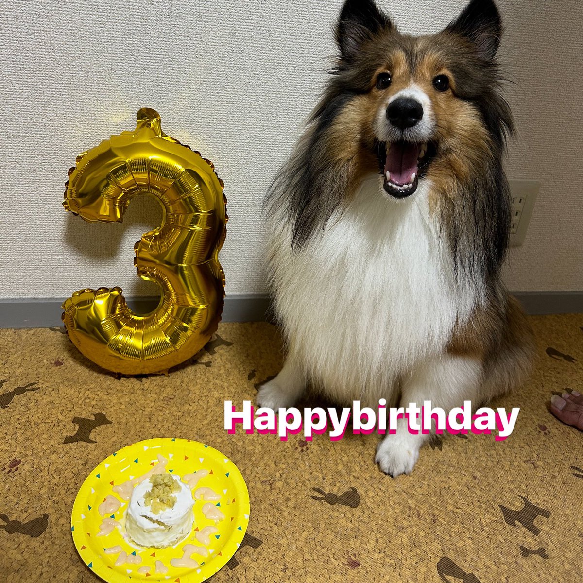 3歳の誕生日おめでとう🎉