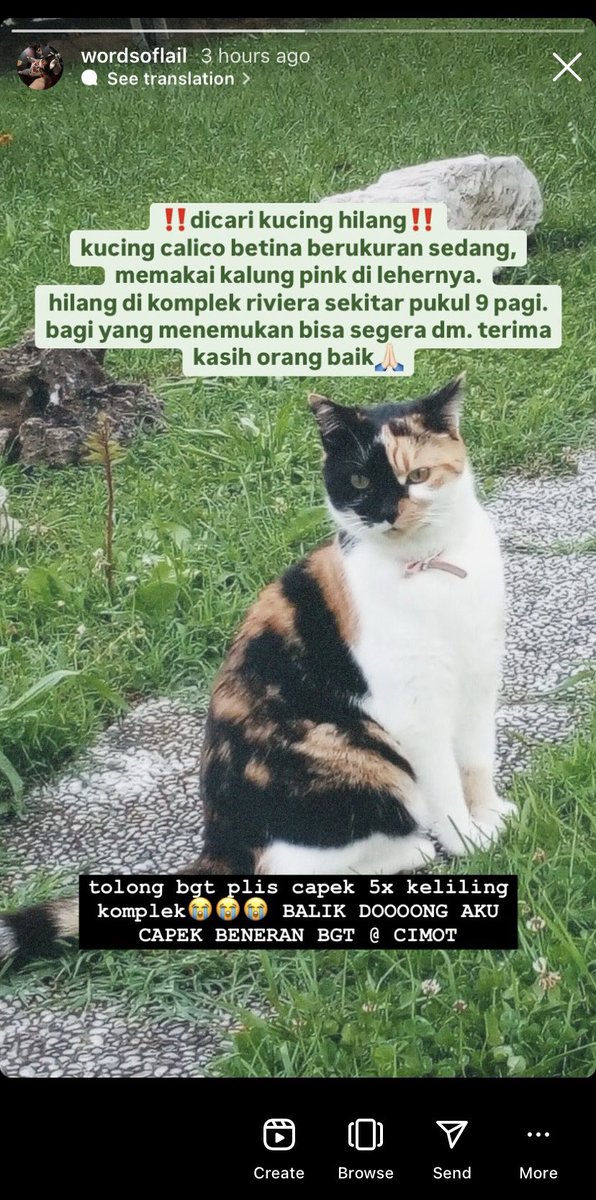 naurfology's tweet photo. tragedi kucing hilang, #phamdori short au ★ https://t.co/vsvQQ3Dib2