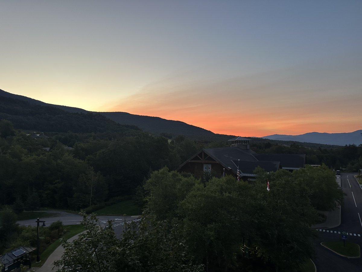 Dr. Heather Berlin tweet media