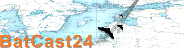 Quasi-live updates from Europe’s largest animal migration! Thousands of #bats are migrating through Pape on the Baltic Sea coast in Latvia. Follow us for insights, and help spread the word by sharing and liking—this natural spectacle deserves attention! 🦇🌍 #Migration #BatCast