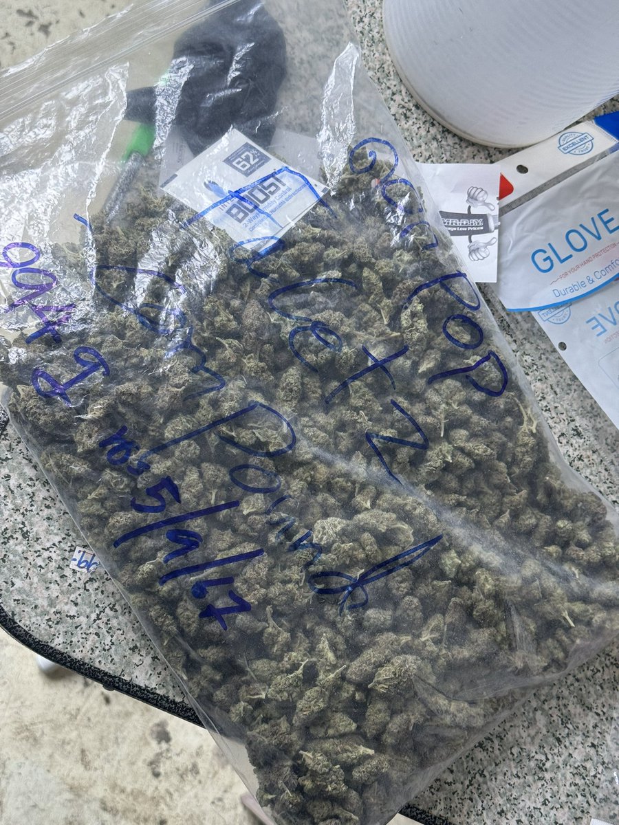 งานดอกpop ถุงนี้มี294g+ ใครสนใจยกทักม่ได้ครับ14,700 สายพันธ์ Facetz สนใจทักมรได้ครับ  #กัญชา #กัญชาog #กัญชากรุงเทพ #กัญชานอก #ดอกกัญชา #กัญชาลาดกระบัง #กัญชารามคําแหง #กัญชาพัทยา #กัญชาราคาส่ง  #บ้องแก้ว #กัญชาชลบุรี #กัญชาดอนเมือง #กัญชานนทบุรี