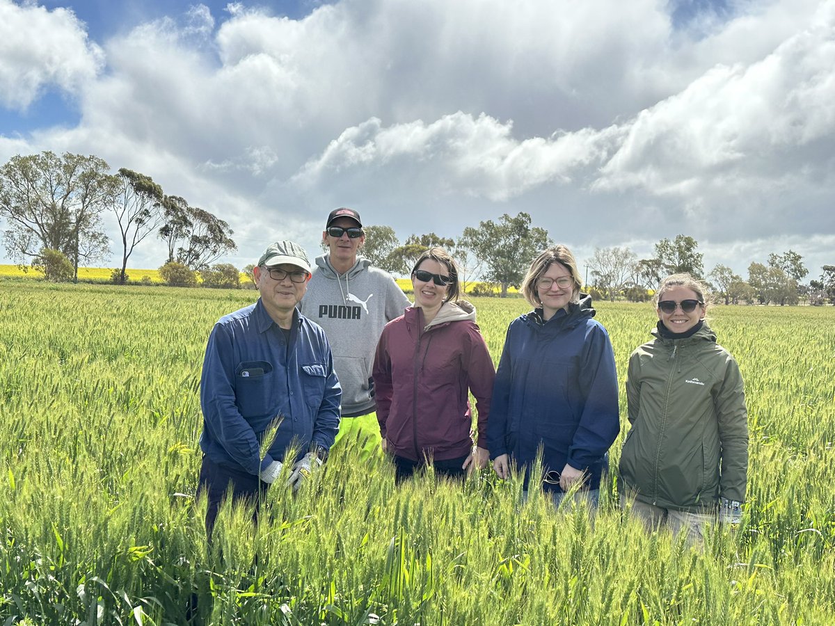Samantha Harvie (@harviesamantha1) on Twitter photo The rain held out just long enough for us to have a productive day collecting soil samples alongside this awesome group <a href="/IOA_UWA/">The UWA Institute of Agriculture</a> <a href="/SMS_UWA/">Molecular Sci-UWA</a> <a href="/PlantEnergyBiol/">Plant Energy Biology</a> <a href="/GRDCWest/">GRDC West</a> <a href="/DPIRDWA/">DPIRDWA</a> The rain held out just long enough for us to have a productive day collecting soil samples alongside this awesome group <a href="/IOA_UWA/">The UWA Institute of Agriculture</a> <a href="/SMS_UWA/">Molecular Sci-UWA</a> <a href="/PlantEnergyBiol/">Plant Energy Biology</a> <a href="/GRDCWest/">GRDC West</a> <a href="/DPIRDWA/">DPIRDWA</a>