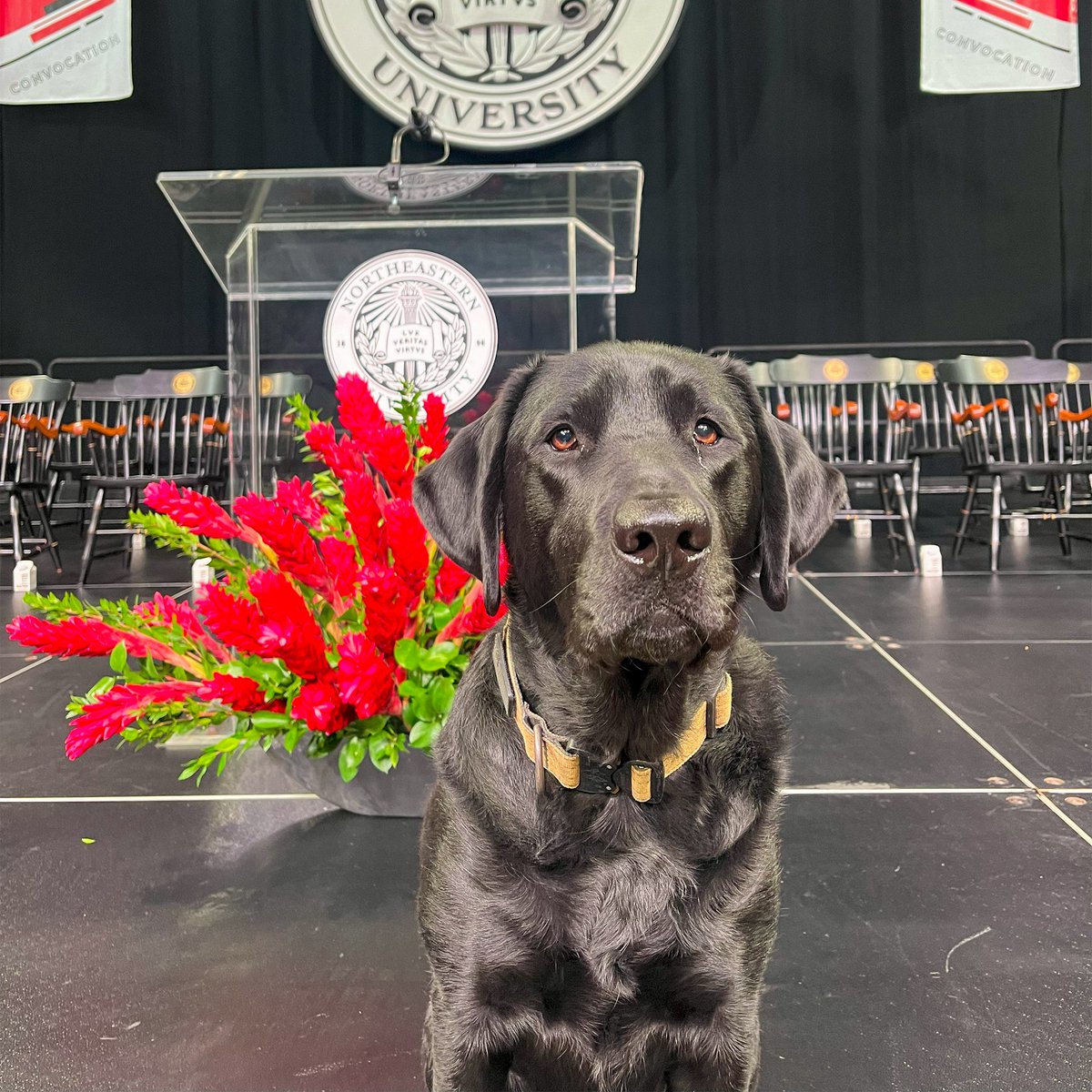 NU Police Department tweet media