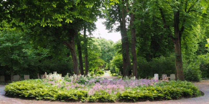 24 september 2024: Bijeenkomst Netwerk Groen Erfgoed Gemeenten
Thema: instandhouding monumentale begraafplaatsen. 

Programma en aanmelden: stichtingerm.nl/nieuws/24-sept…

<a href="/RCE_erfgoed/">Rijksdienst voor het Cultureel Erfgoed</a> <a href="/stichtingerm_NL/">stichting ERM_official</a> @stadswerk 

#erkende #restauratiekwaliteit #monumenten #groen #erfgoed #gemeenten