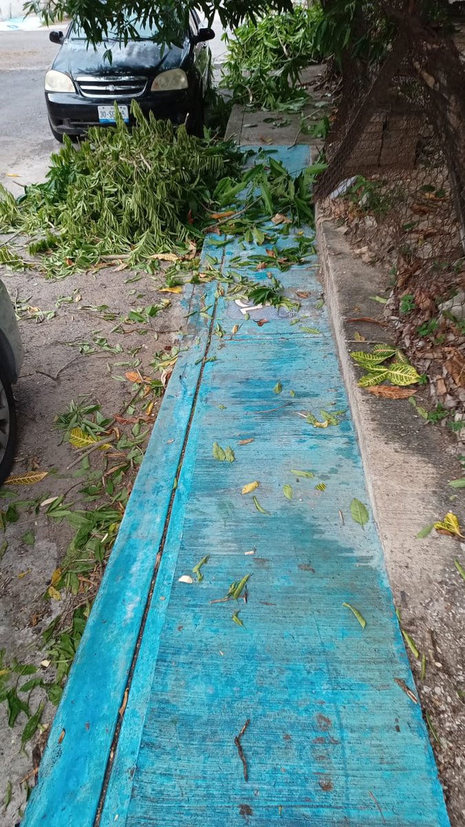 BLoojep's tweet photo. @CFE_Contigo deberian de ser mas exigentes con su contratistas se les dijo que la basura la dejaran en otro lado por que hay personas enfermas y en una emergencia sacarla en camilla seria un problema y no les importo https://t.co/sske6O0xu1