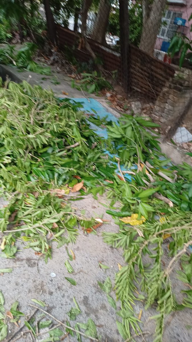BLoojep's tweet photo. @CFE_Contigo deberian de ser mas exigentes con su contratistas se les dijo que la basura la dejaran en otro lado por que hay personas enfermas y en una emergencia sacarla en camilla seria un problema y no les importo https://t.co/sske6O0xu1
