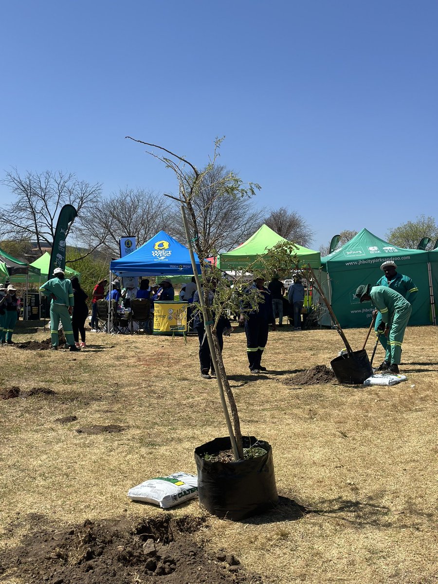 JoburgParksZoo's tweet photo. @CityofJoburgZA @KabeloGwamanda @JCPZMendrew @WorldResources Greening Joburg - one tree at a time!🌳

#JCPZArborCelebrations #JoburgTrees #GreeningTheCity #SUNCASA #NatureBasedSolutions #resilientcities  #Arbormonth https://t.co/1ueSkDQGFb