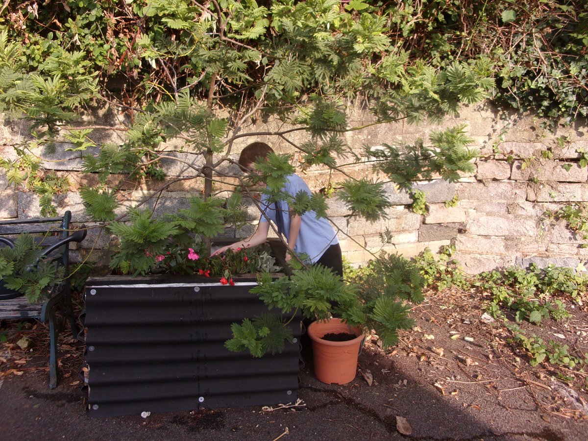 folkestoneshed's tweet image. Young people spent a sunny evening gardening.