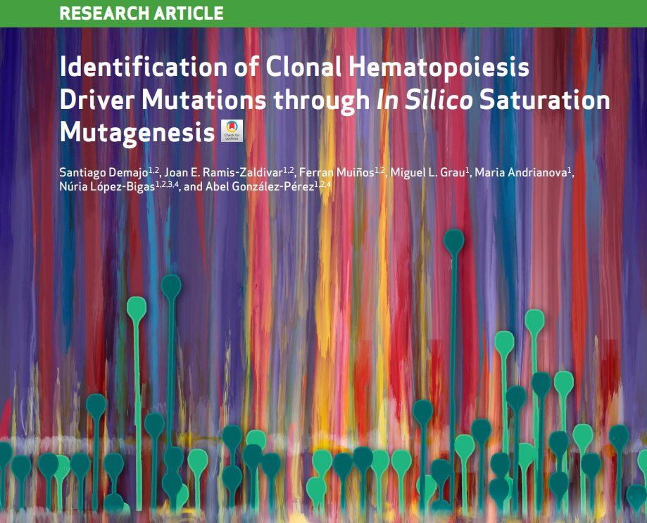 Santi Demajo Meseguer (@santidemajo) on Twitter photo ‼️ The final version of our article “Identification of Clonal Hematopoiesis Driver Mutations through In Silico Saturation Mutagenesis” is out in Cancer Discovery <a href="/CD_AACR/">Cancer Discovery</a>: aacrjournals.org/cancerdiscover…
Learn more about our findings in this thread 👇🏽 ‼️ The final version of our article “Identification of Clonal Hematopoiesis Driver Mutations through In Silico Saturation Mutagenesis” is out in Cancer Discovery <a href="/CD_AACR/">Cancer Discovery</a>: aacrjournals.org/cancerdiscover…
Learn more about our findings in this thread 👇🏽
