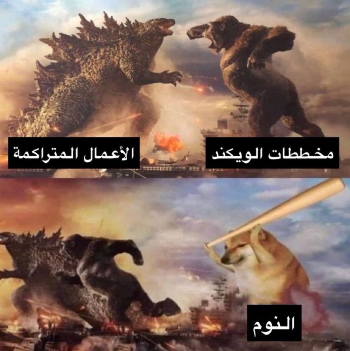 منصور (@i14nn) on Twitter photo 