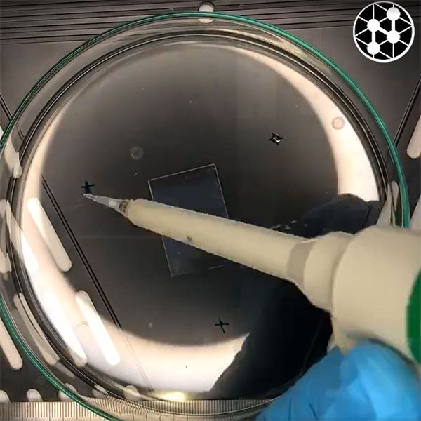 OPNmagazine's tweet image. A new study shows how exposing zinc oxide #nanoparticles to vinegar fumes can improve the sensitivity of nanoparticle-based #ultraviolet #sensors, enabling cheap, efficient, high-performance sensors suited to wearable applications. 
Read the story 👉 bit.ly/4g5Y5VQ